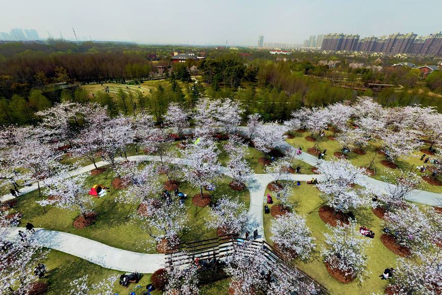 上海闵行区十四五规划即将出炉,上海闵行区内五年内规划