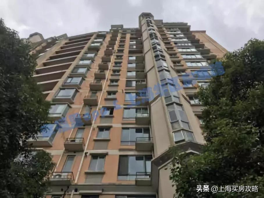 民办摇号学校有哪些,上海民办摇号哪些初中难上