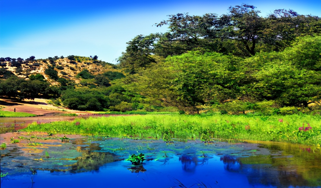 沈阳春暖花开,春暖花开沈阳自由行攻略
