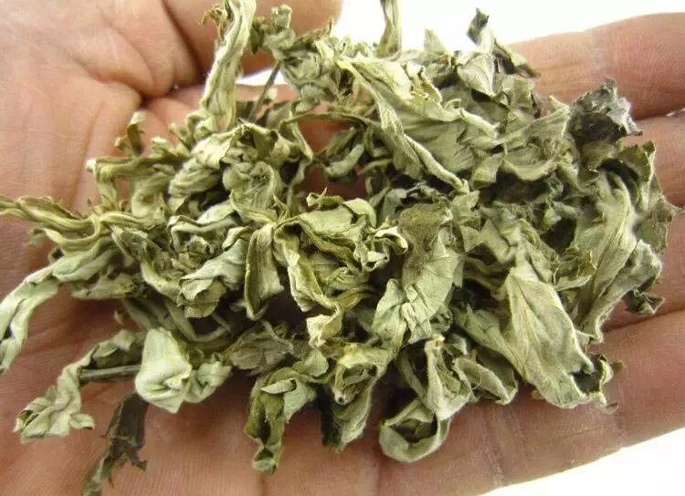 湿气自测题，有4条以上真要好好祛湿了