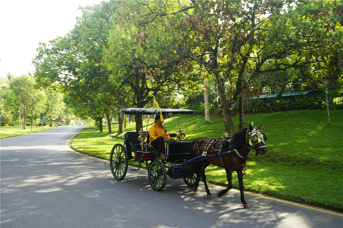 印度尼西亚的历史与文化,印度尼西亚文化体验