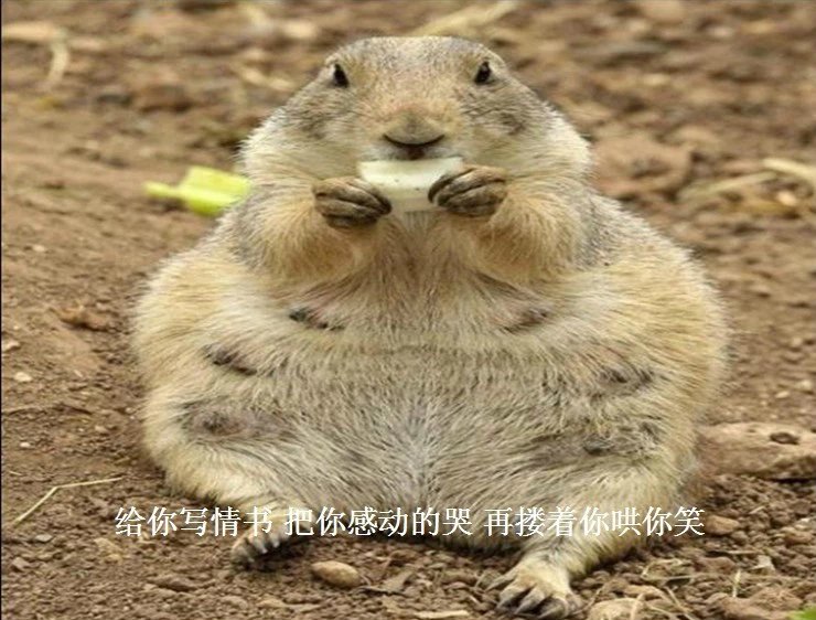 我只想说声爱你,只想再爱你一次