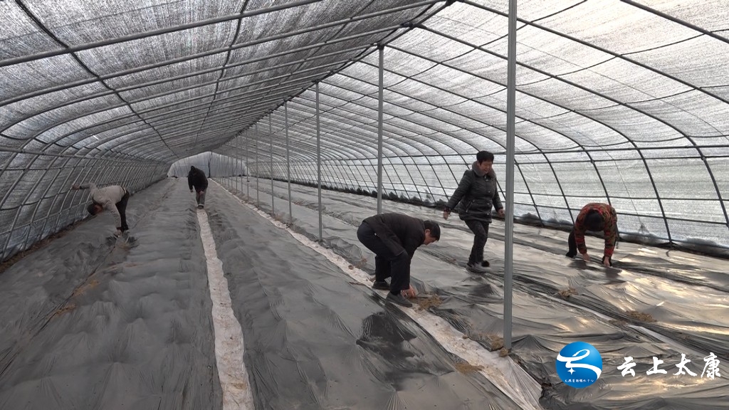 决战决胜脱贫攻坚产业扶贫,脱贫攻坚致富之路