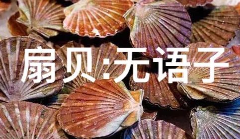 扇贝没了獐子岛,獐子岛扇贝逃跑科普