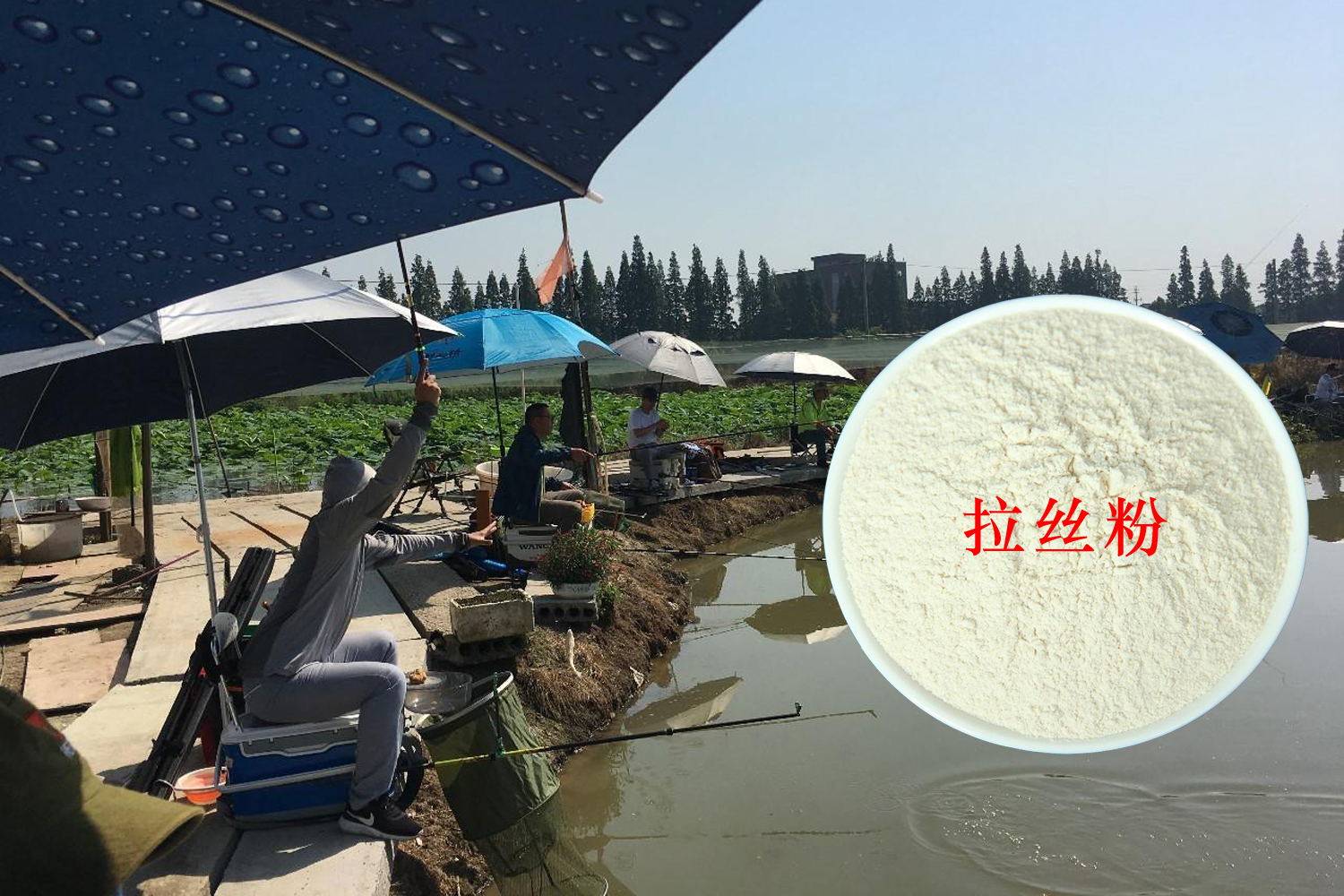 怎样增加饵料的雾化和附钩性,怎样增强钓鱼饵料粘性