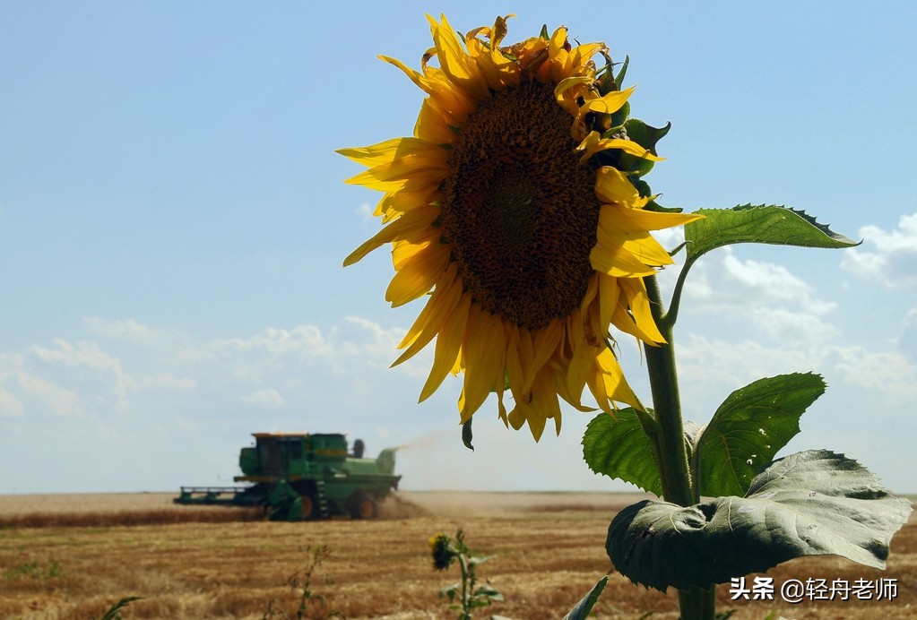 如何学好播音普通话,如何学到播音普通话