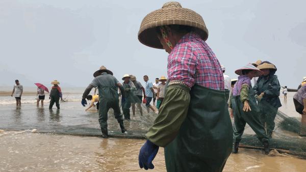 吴阳拉大网后续,吴阳直播海鲜