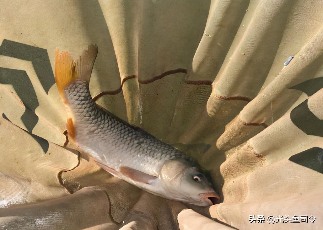 渔具店关门事件,小区门口开渔具店好吗