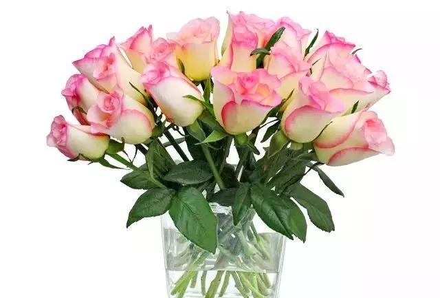 一万年一次的2020520；一起认识100种玫瑰~别送错啊