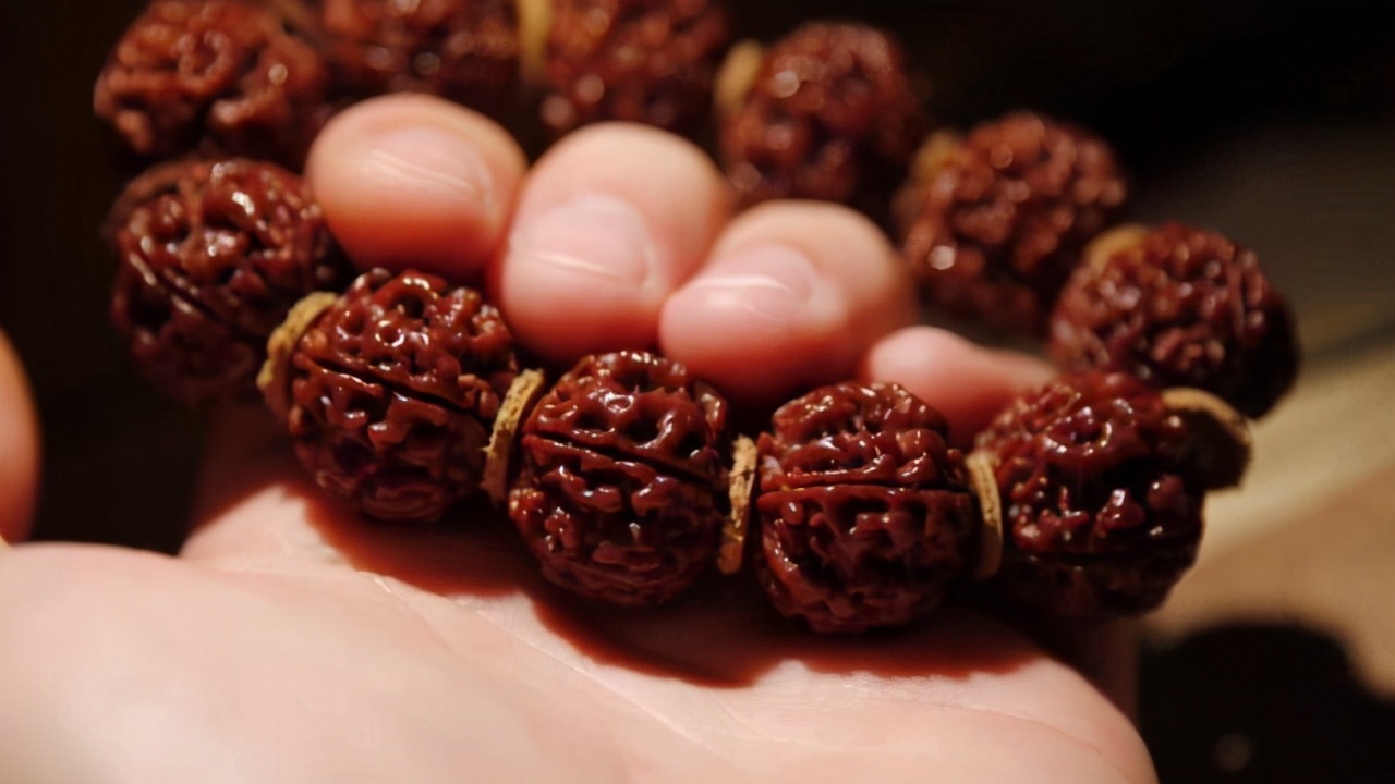 玩金刚菩提的9大误区,金刚菩提的基本知识