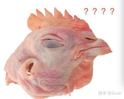 2019年读书笔记一篇,1984读书笔记4000字大学篇