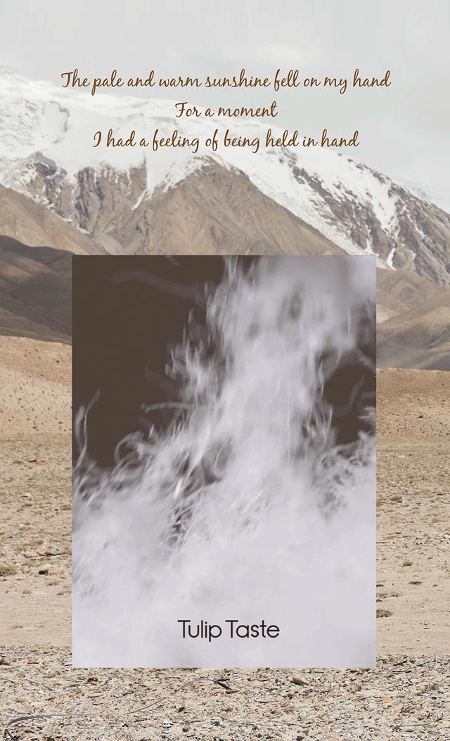 波司登鹅绒立领时装款,波司登鹅绒女装短款