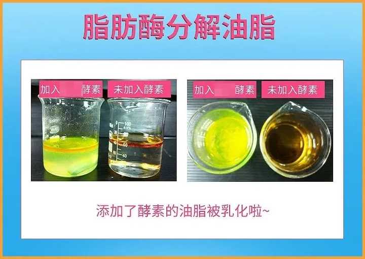 减肥最快的方法5天瘦十斤的视频,减肥最快的方法5天瘦十斤减肥操