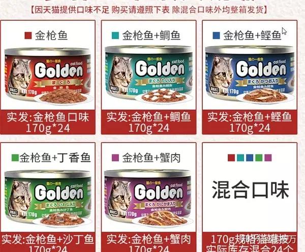 贫民窟女孩养猫好物合集,贫民窟养猫一个月花多少钱