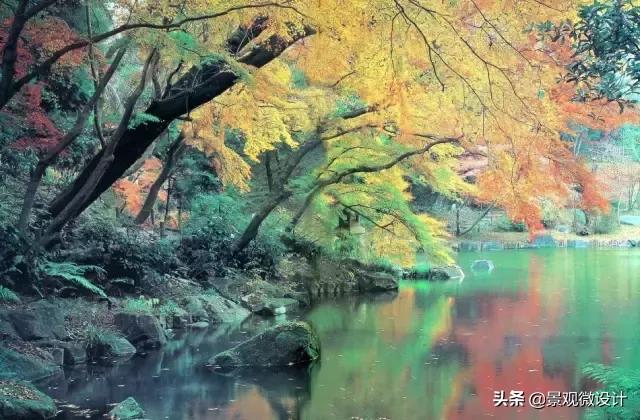 日本最有名枯山水庭院,日本枯山水效果图