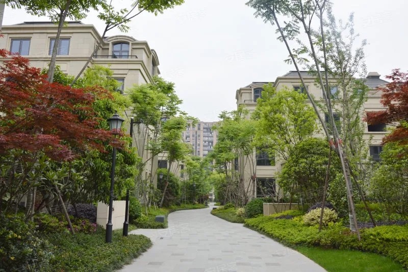 科林瑞好空气“净”社区——广宇东承府让好空气留在丁桥