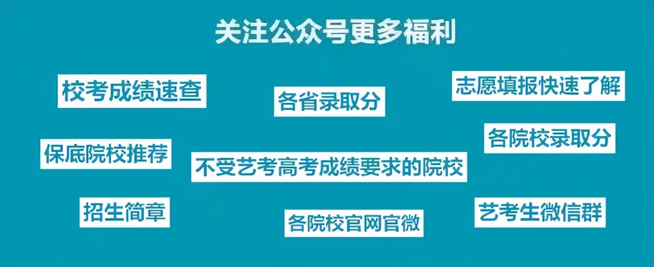 西南大学2021艺术类招生简章,西南大学2021年招生简章