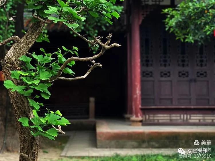 崇州罨画池游览图,崇州罨画池非同寻常的地方