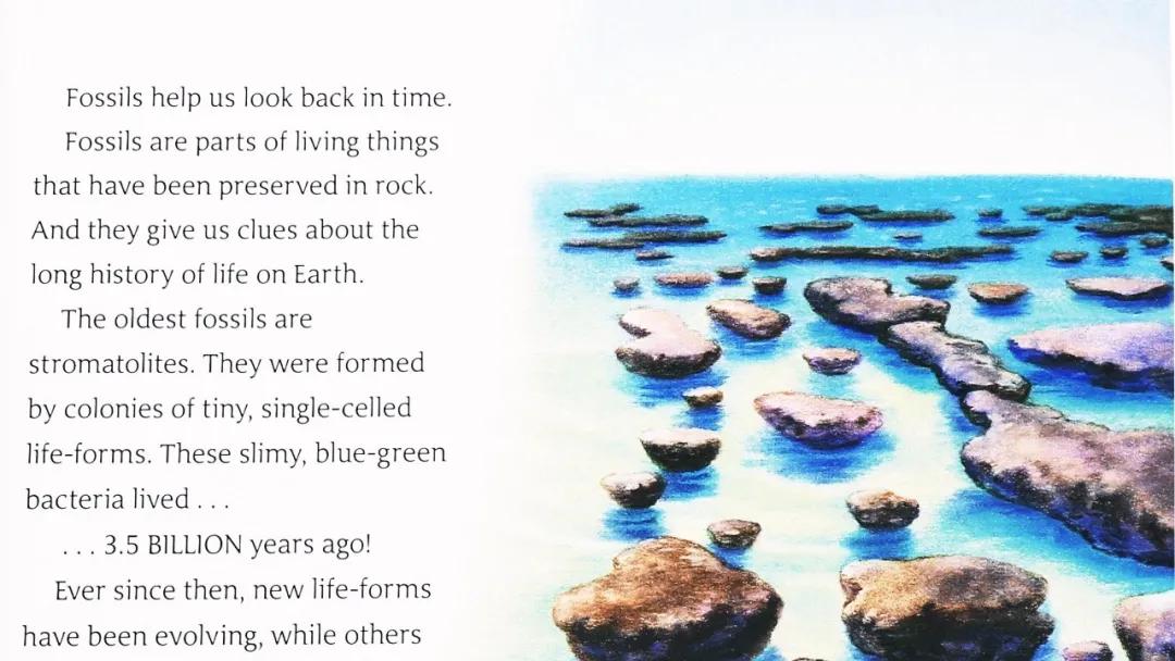 探秘恐龙世界关于恐龙的资料,恐龙世界科普知识