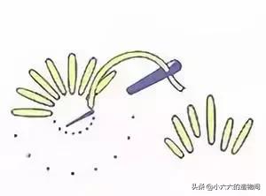 刺绣打籽绣教程,中国结刺绣针法教程