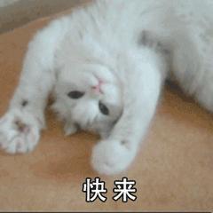 尉氏县城招聘1月份,尉氏1068招聘