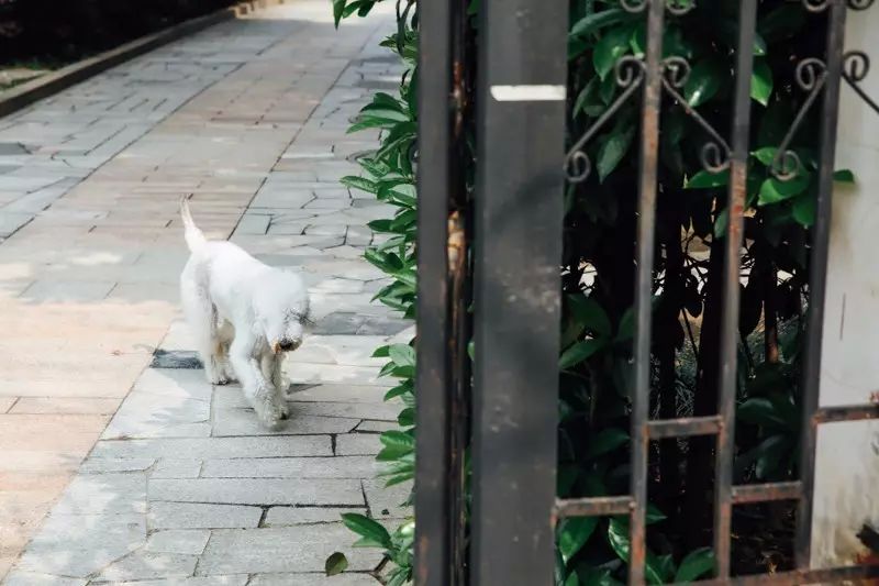 武汉住得最舒服的小区,武汉常青花园哪个小区最热闹