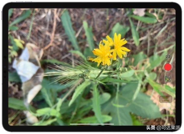 如何在iPad上录制漂亮的延时视频