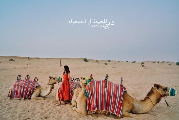 土豪之旅迪拜,迪拜土豪之旅