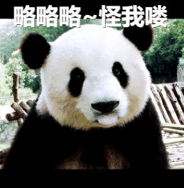 马来西亚为啥退换大熊猫,马来西亚退还中国大熊猫是真的吗