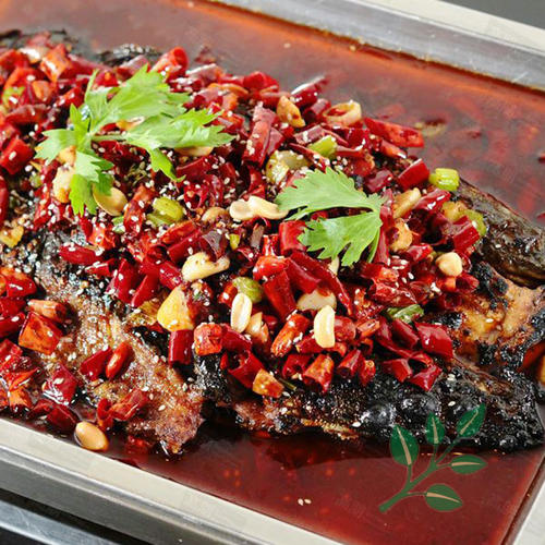 烤鱼吃清江鱼还是草鱼,江团鱼最主要吃什么食物