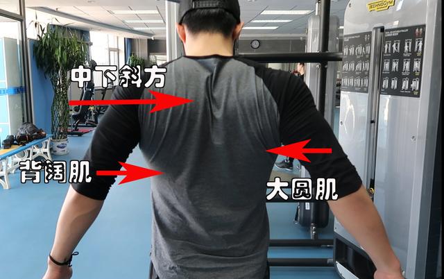 最基础的背部训练计划,十个最好的背部训练动作