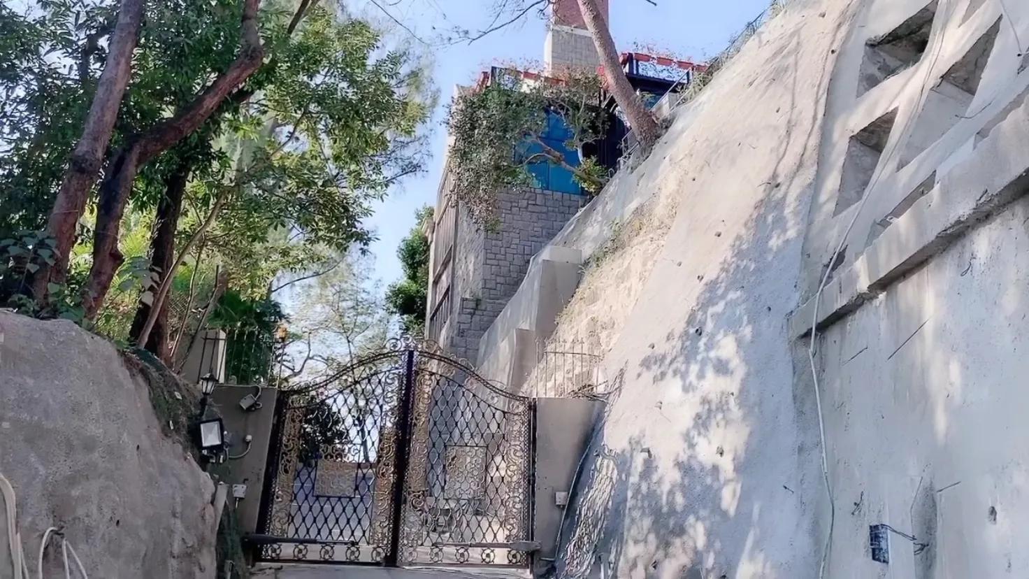 香港郑伊健近照,香港街拍郑伊健