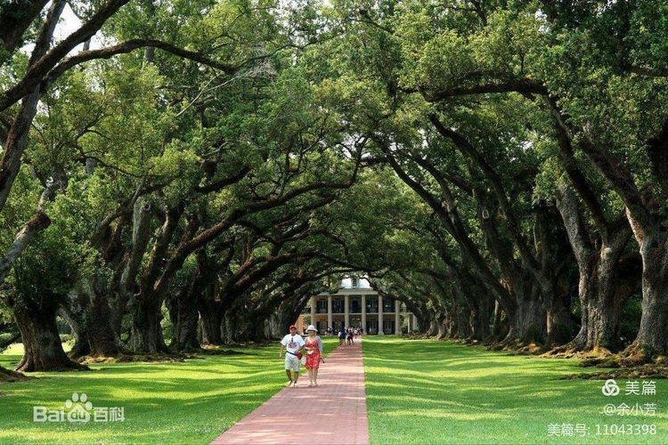 上海中山公园公寓,上海中山公园游玩攻略