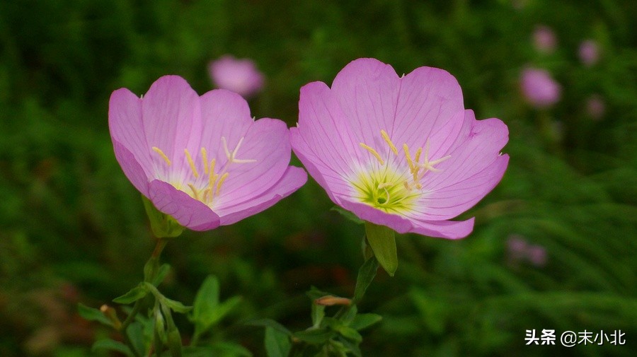 不要轻易嫁给穷男人,嫁给一个穷的男人