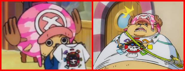 海贼王大熊衣服,海贼王狂热行动的衣服