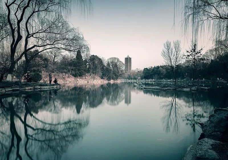 传疯了！北京第一美女找工作，简历惊呆全国！