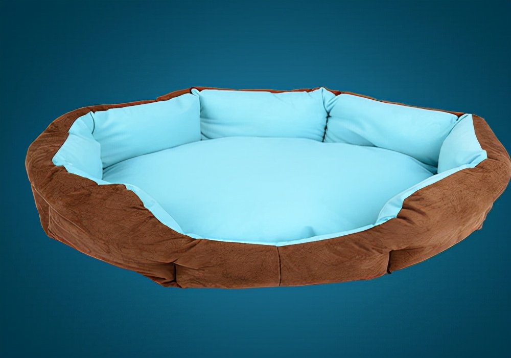 狗狗也来月经怎么办,狗狗也会来生理期吗