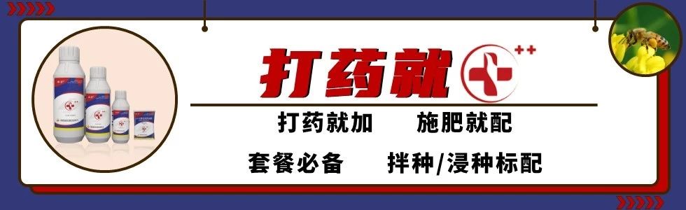 天然芸苔素和其他芸苔素的区别,什么含量的芸苔素好