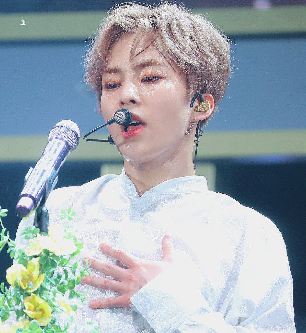 金珉锡solo预售,金珉锡将solo出道