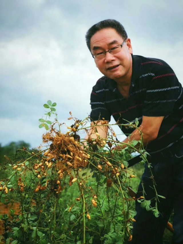 浪花之歌视频,浪花之歌全曲