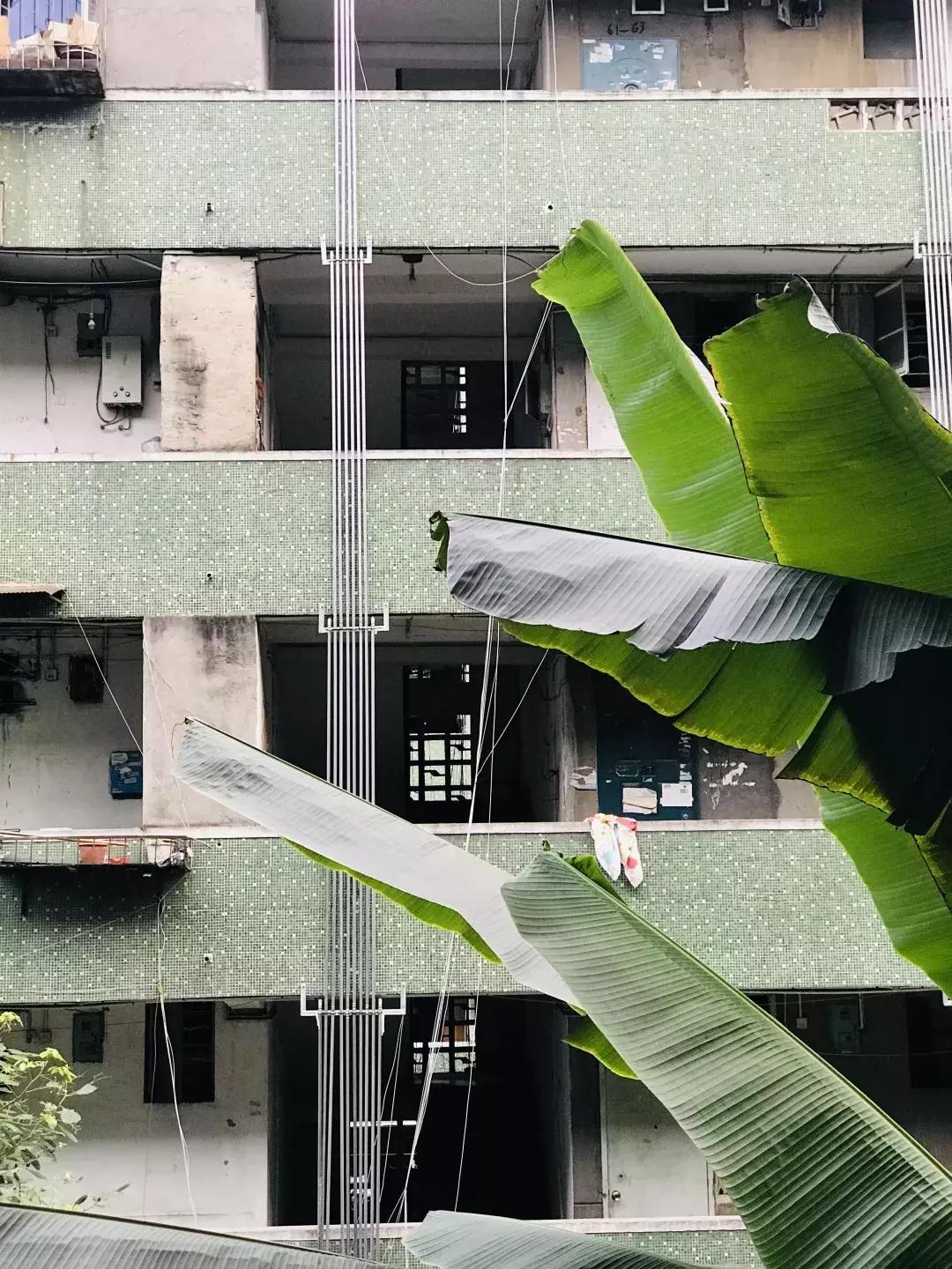 从钢管厂五区晃到莲花新区