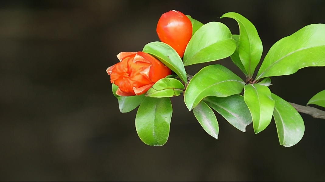 却给人澄净清冷之感的李白名句,李白写的古诗四句简单