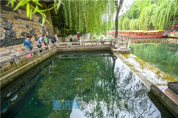 济南夏日风景美如画,济南美如画的地方