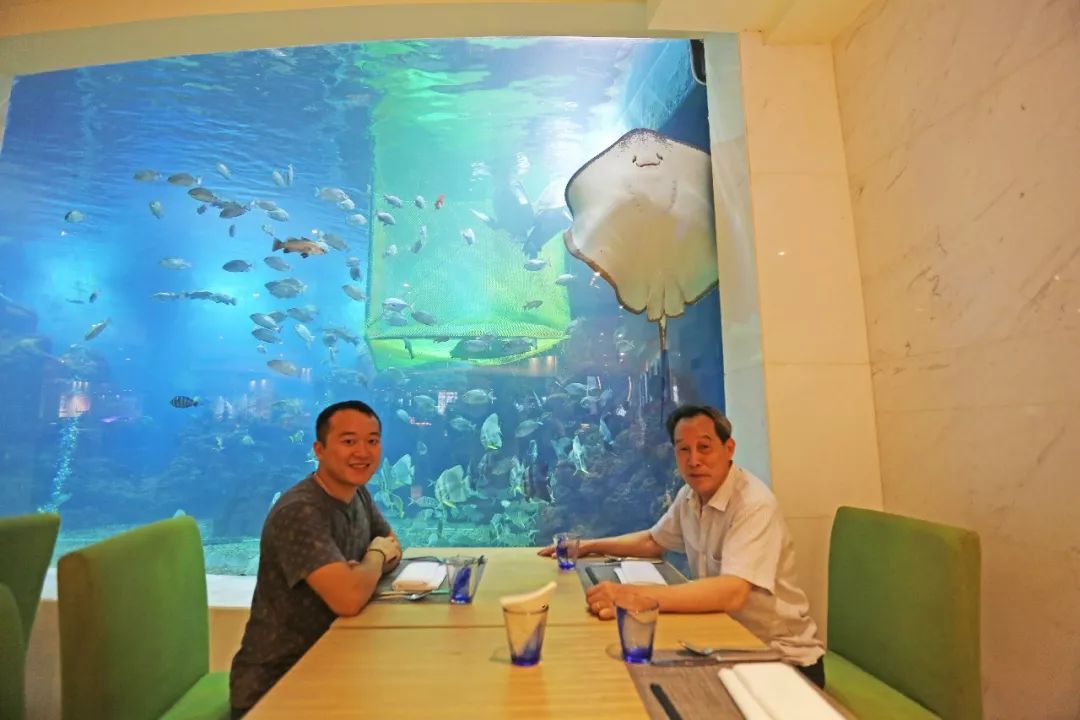 城市酒店好还是民宿好,度假酒店与城市酒店