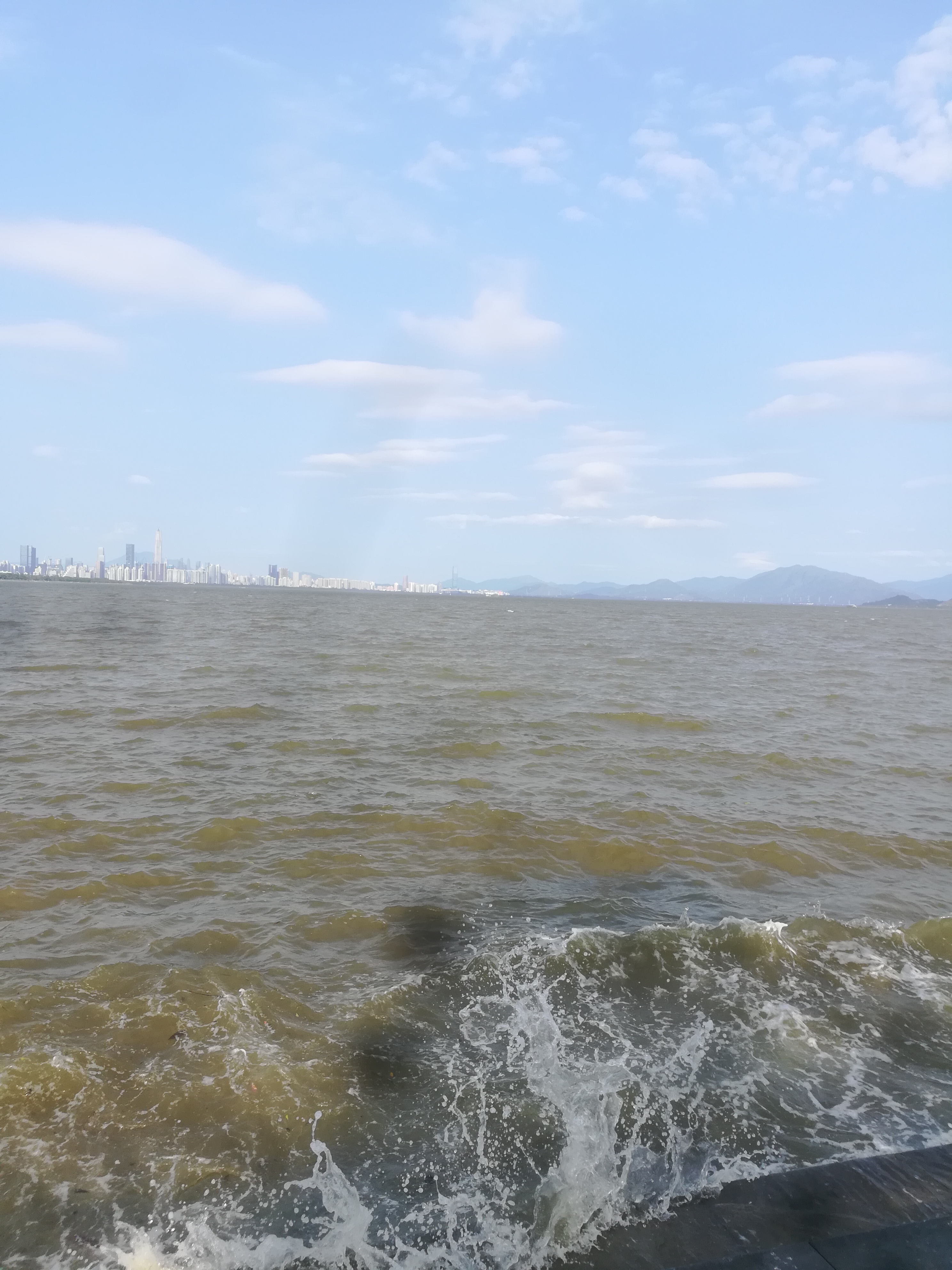 深圳湾公园停车场攻略,深圳湾运动公园沙滩