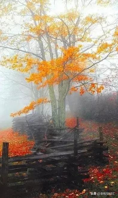 中国县城社会现状,中国县城发展情况