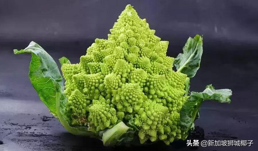 泰国超市奇葩东西,新加坡超市里的东西