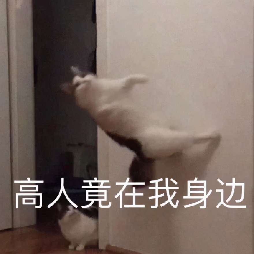 美呗产品运营,美呗是怎么做的