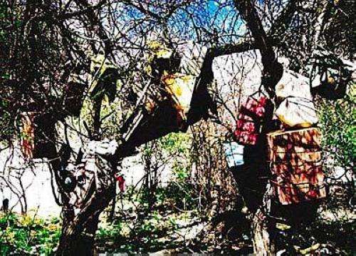 黑人抬棺是怎样的葬礼习俗？专业团队背后的秘密