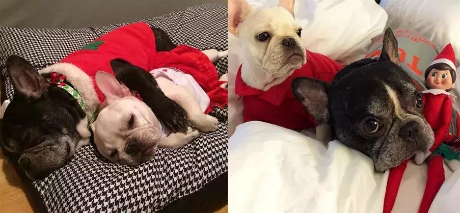 gucci和supreme联名马丁靴,guccisupreme鞋子